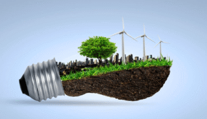Sustainable Innovation Trends