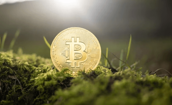 Green Crypto and Sustainability