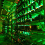 Green Crypto Projects to Watch