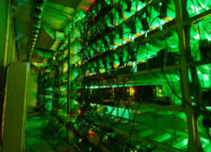 Green Crypto Projects to Watch