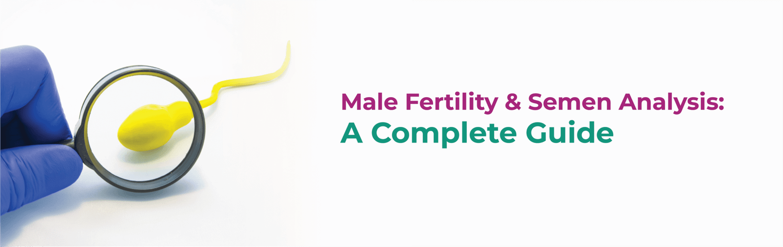 Male Fertility & Semen Analysis: A Complete Guide